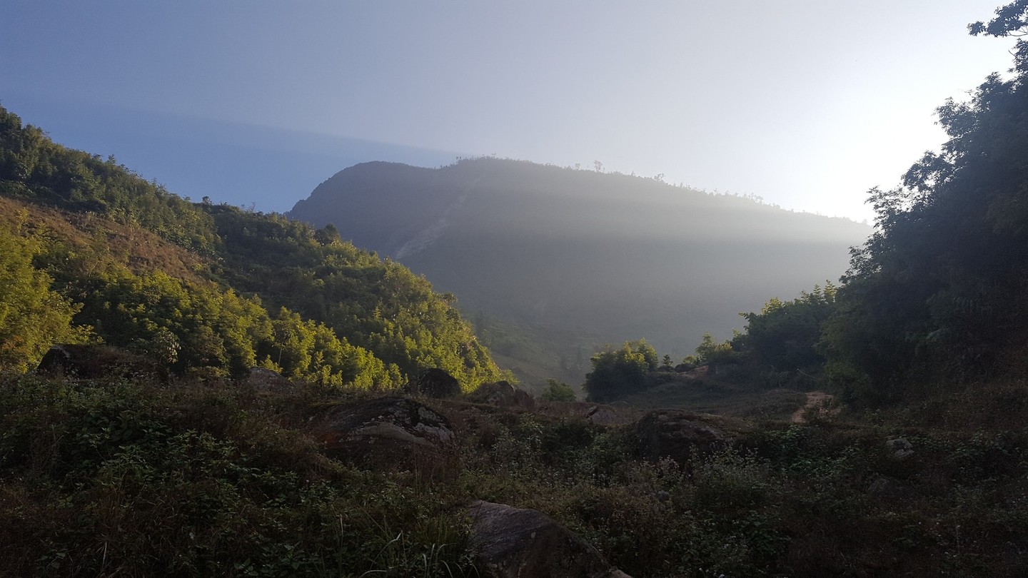Sapa