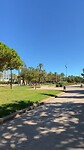 Turia park