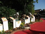 DSCF1195