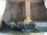 DSCF1197