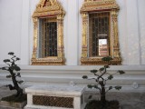 DSCF1228