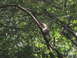 DSCF1289