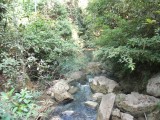 DSCF1301