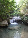 DSCF1302