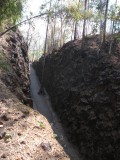 DSCF1321