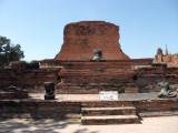 Picture 003