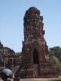 Picture 010