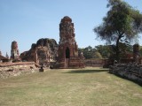 Picture 011