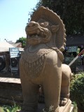 Picture 029