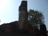 Picture 022