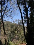 DSCF1463[1]