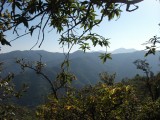 DSCF1467[1]