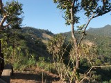 DSCF1469[1]