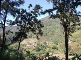 DSCF1496[1]