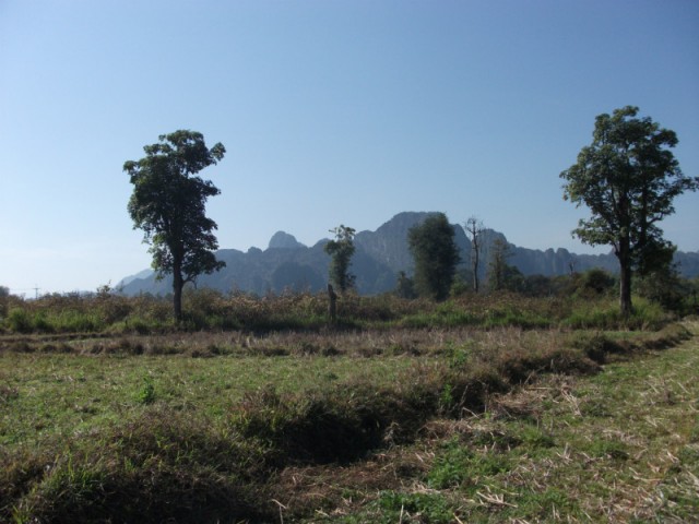 DSCF1690