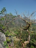DSCF1700