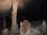DSCF1731