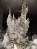 DSCF1749