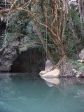 DSCF1768