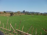 DSCF1774