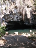DSCF1780