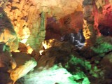 DSCF1823