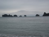 DSCF1867