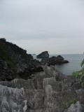 DSCF1879