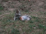 DSCF2049