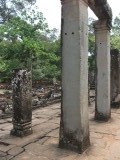 DSCF2063