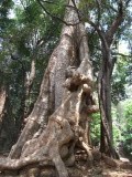 DSCF2096