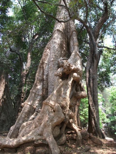 DSCF2096