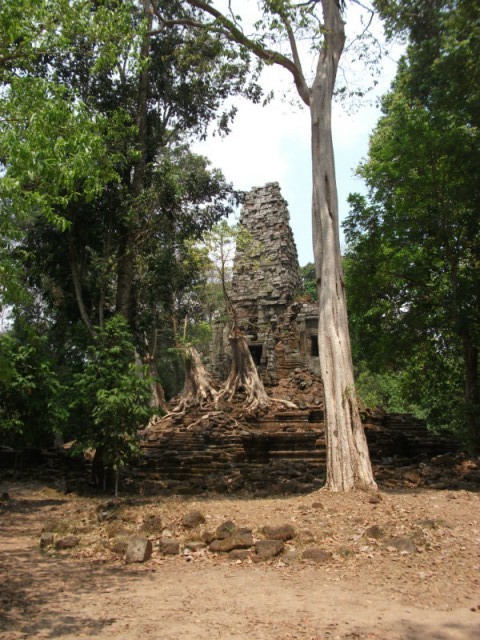 DSCF2109