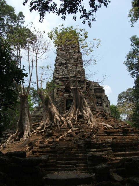 DSCF2110