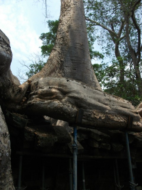 DSCF2153