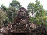 DSCF2194