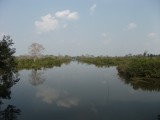 DSCF2208