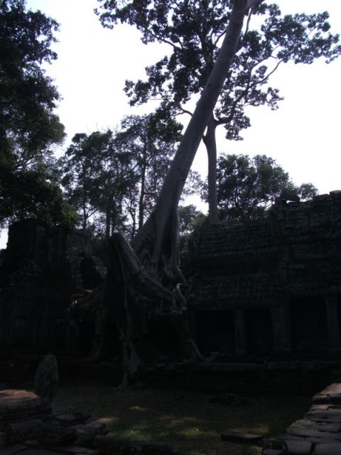 DSCF2214