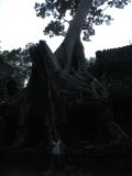 DSCF2215