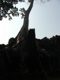 DSCF2217