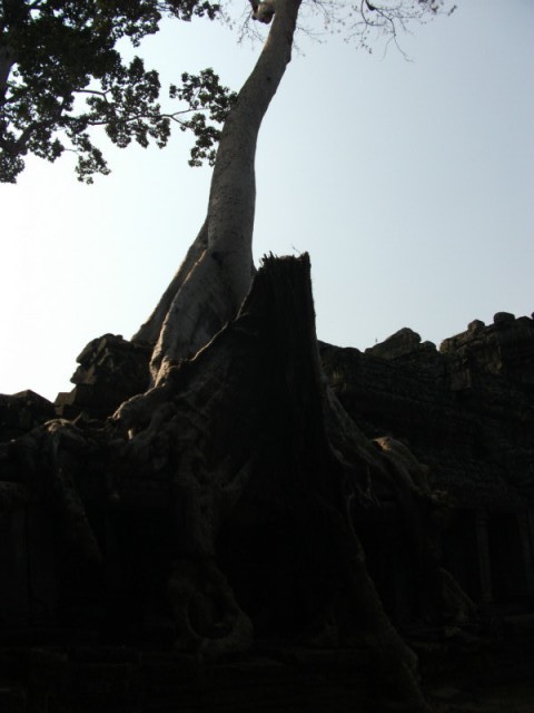 DSCF2217