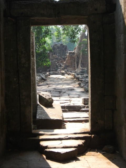 DSCF2220