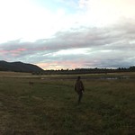 Olijvenboerderij en huntervalley