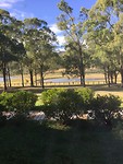 Olijvenboerderij en huntervalley