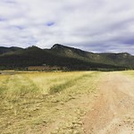 Olijvenboerderij en huntervalley