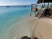 Zanzibar