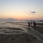 IMG_8244