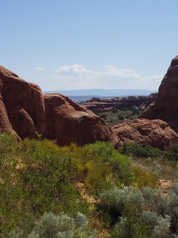 Arches