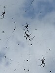 IMG_2285
