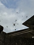 IMG_2284